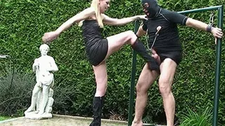 Ballbusting Fury - 2