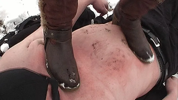 Trample in the snow - 2