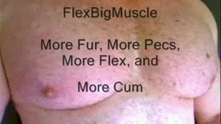 More Fur, More Pecs, More Cum