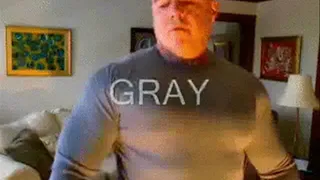 Gray Tight Shirt