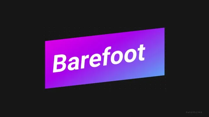 MY PRECIOUS BAREFOOT