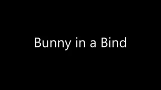 Bunny in a Bind