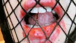 Fishnet Face & Neck Lipstick Mess - Extreme Closeup