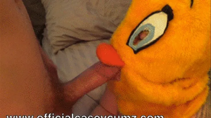 Tweety POV BJ