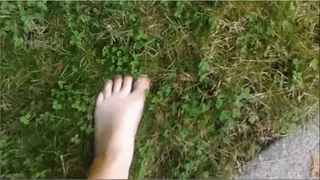 Garden Foot Voyeur