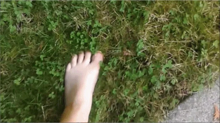 Garden Foot Voyeur ( )