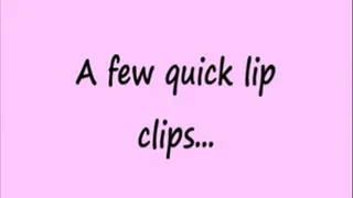 Short Lip Clips