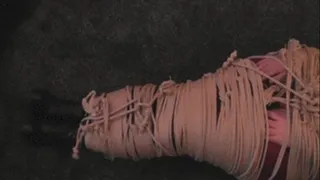 Argento Mummified in Rope