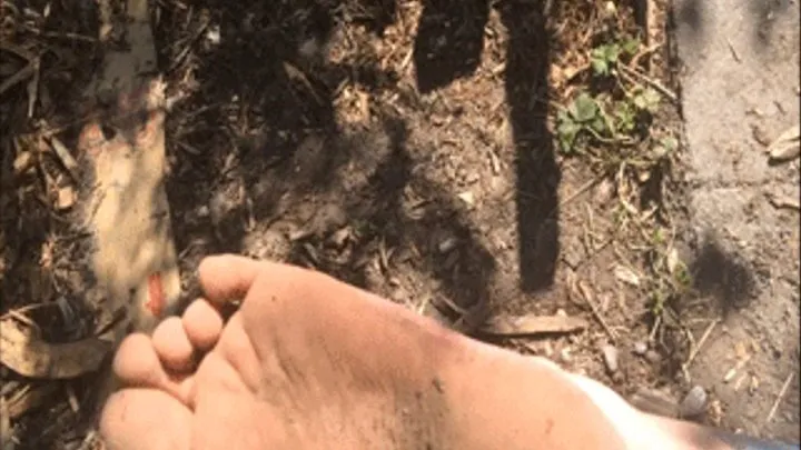Dirty Feet At The Park