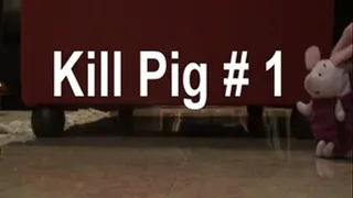 Pig