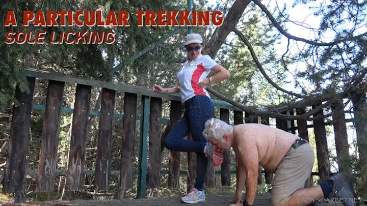 Lady Scarlet - A particular trekking: sole licking