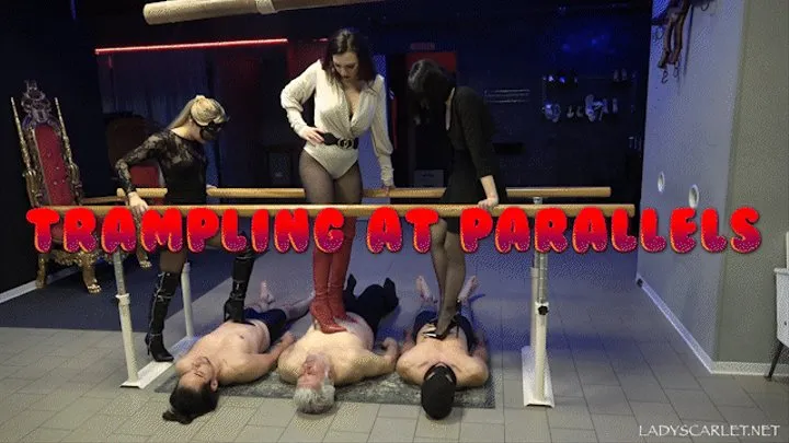 Lady Scarlet - Trampling at parallels