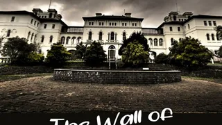 The Institute - The Wall of Laughter