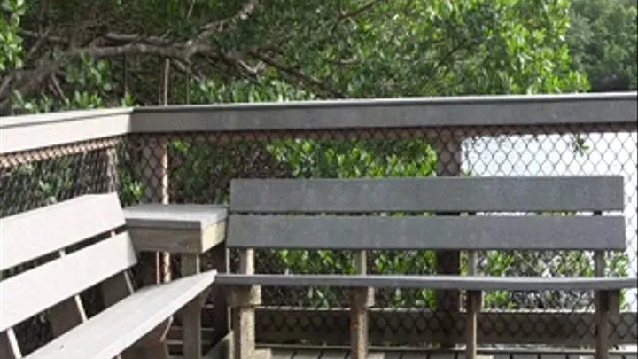 Summer Puts A Diaper On Herself On Public Park Bench