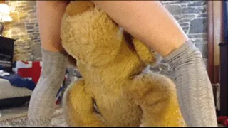 Teddy bear ripped up :P