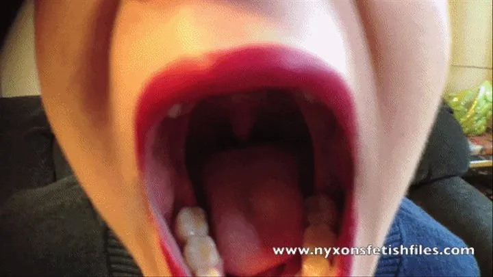 Nyxon's Mouth Tour #2