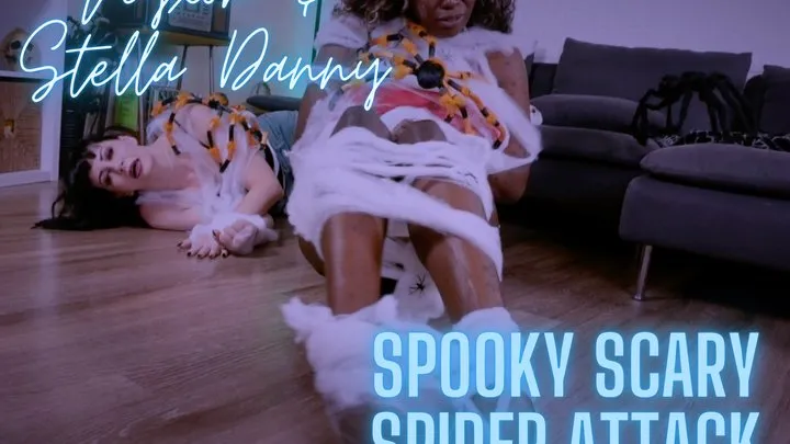 Nyxon & Stella Danny Spooky Scary Spider Attack