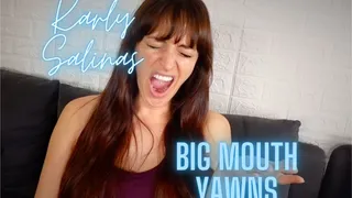 Karly Salinas Big Mouth Yawns