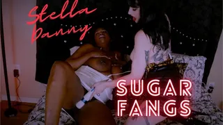 Stella Danny Sugar Fangs