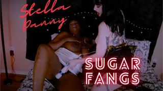 Stella Danny Sugar Fangs