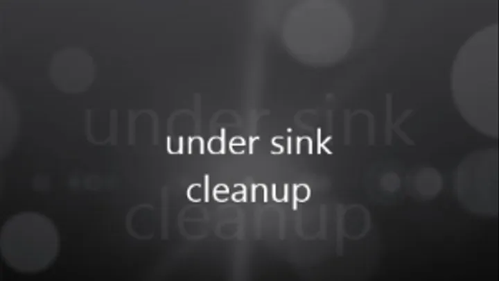 under sink cleanup