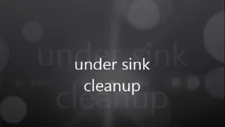 under sink cleanup