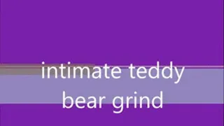 intimate teddy bear grind