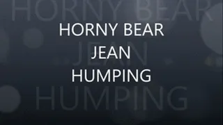 HORNY BEAR JEAN HUMPING