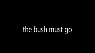 the bush must go