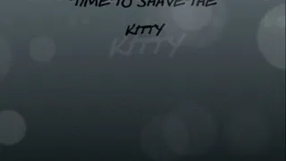 time to shave the kitty