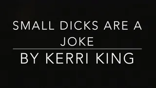 Small Dicks Are A Joke(Audio Only) by Kerri King