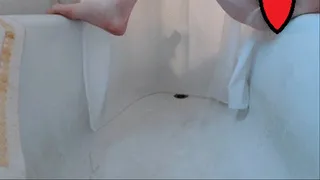 Pee in the tub combo! 3 videos all in one!