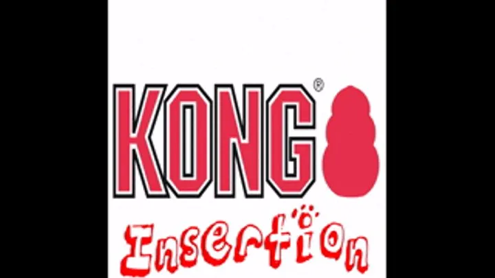 Kong Toy Insertion