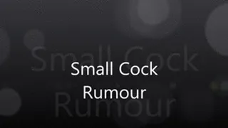 Small Cock Rumour