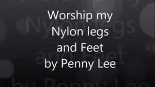 Worship Nylons