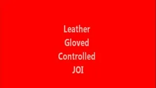 Leather Gloved Controlled JOI *
