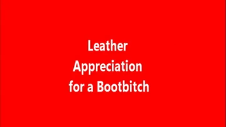 Leather Appreciation for a Boot and Glove Lover