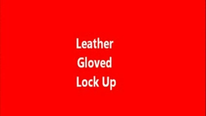 Leather Gloved Lock Up