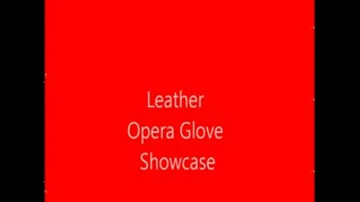 Leather Opera Glove Showcase