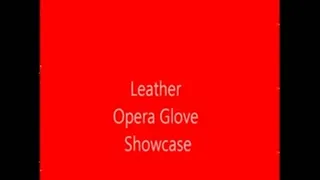 Leather Opera Glove Showcase