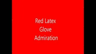 Red Latex Glove Admiration