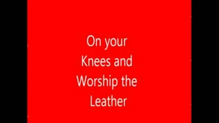 Worship The Leather