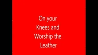 Worship The Leather