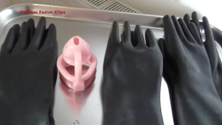 Latex Glove Therapy with Chastity