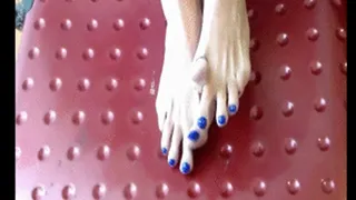 Gabby's Frisky blue long toes 2