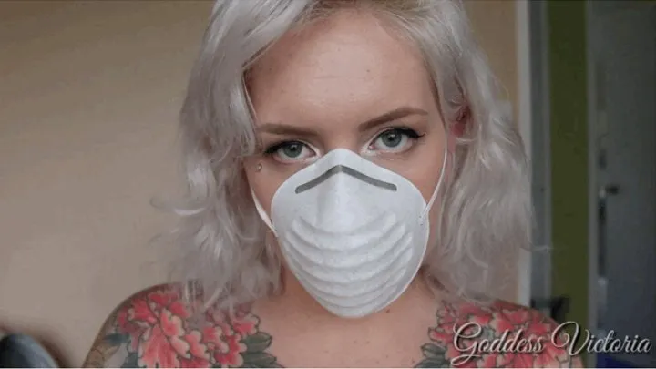 Dust Mask Modeling