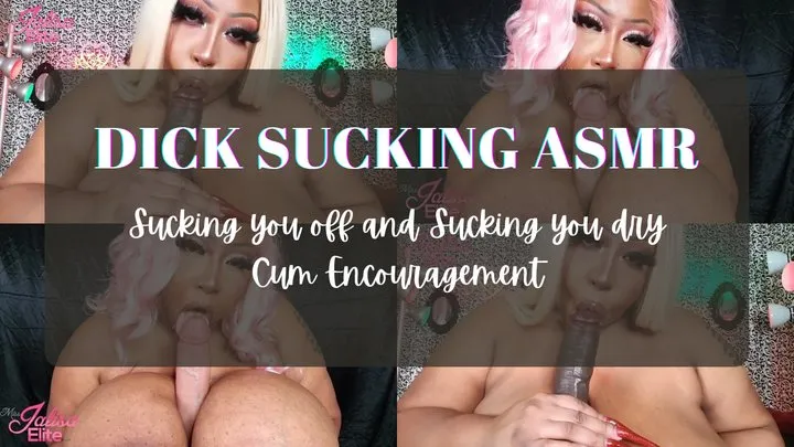 Wet Mouth Dick Sucking ASMR Cum Encouragement (AUDIO)