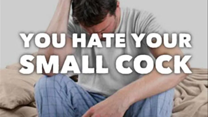 You Hate Your Small Cock Affirmations Erotic Audio MP3