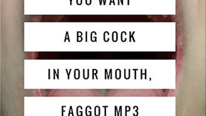 You Want A Big Dick In Your Mouth, Faggot You Don't Fool Me MP3