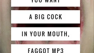 You Want A Big Dick In Your Mouth, Faggot You Don't Fool Me MP3